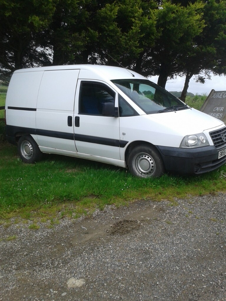 hiking in vans shoes
